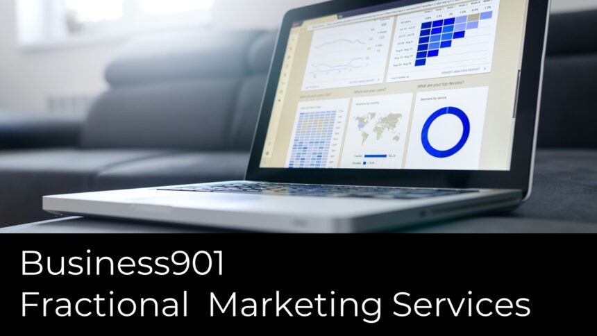Business901 Fractional CMO