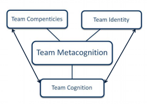 Team Decision Making