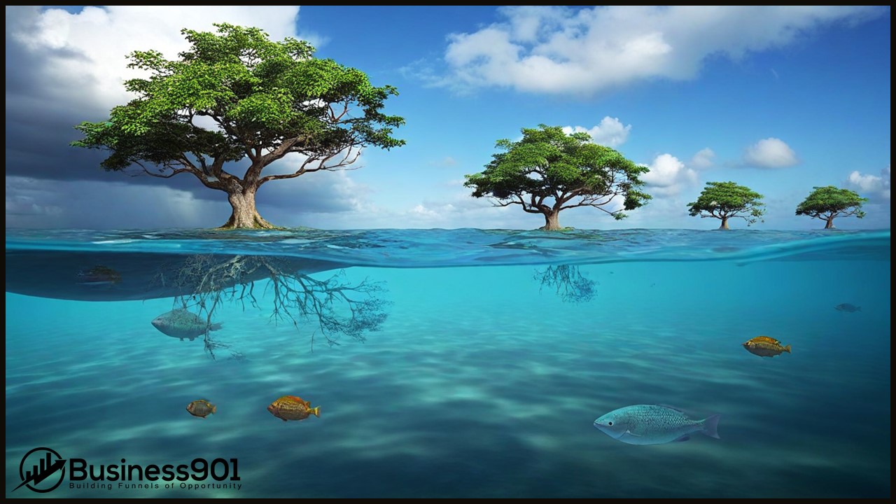 Growth Experimentation